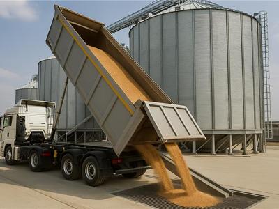 让每一粒都安全