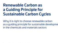 将可再生碳作为可持续碳循环的指导原则