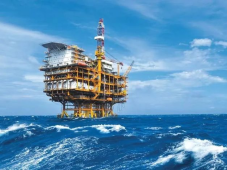 中国海油自主开发科技成果通过石化联合会鉴定