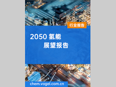 2050氢能展望报告-DNV