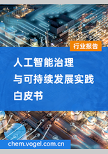 2022人工智能治理与可持续发展实践白皮书