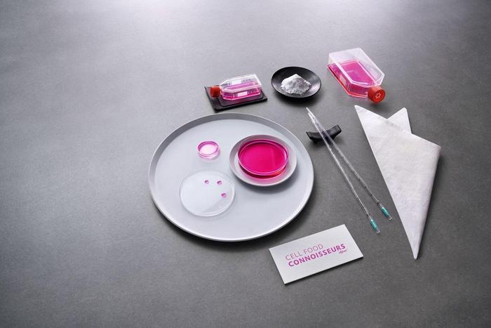 微信图片_20230615160107