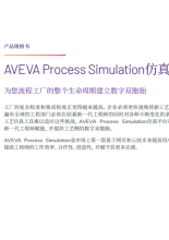 AVEVA Process Simulation仿真平台