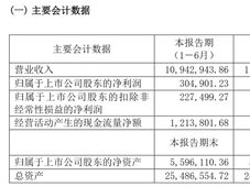 中国四大民营炼化：恒逸、恒力、盛虹、荣盛，2023上半年净利润有一家没有下滑