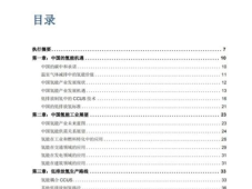 中国耦合CCUS制氢机遇、路径、收益及案例