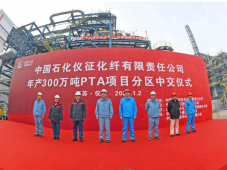 中石化仪征化纤年产300万吨PTA项目主装置分区中交