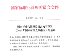 储能、氢能等领域迎来新标准！《2024年国家标准立项指南》发布