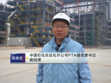 中石化仪征化纤年产300万吨PTA项目建设已基本完成，即将投产