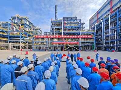 中国石化首套年产300万吨PTA项目在仪征化纤投产，投资规模超过50亿元