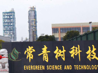 江苏常青树新材料拟投资100亿元新建高分子新材料生产基地