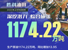 中国石化成立41周年，旗下14家企业上半年成绩单公布