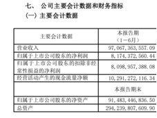 上半年营业收入970亿元！万华化学2024年半年报最新业绩公布