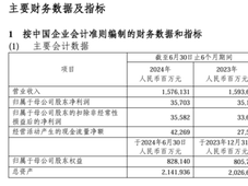 中国石化2024年半年度报告：净赚371亿！