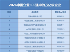 恒力、荣盛、恒逸、盛虹、延长石油、万华、东明石化、京博、华谊等公司上榜2024中国企业500强