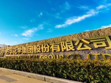 万华化学前三季度营收1476亿元，还有10大项目集中获批！