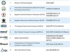 埃及天然气公司EGAS主要项目及采购需求
