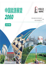 《中国能源展望2060》报告 2025版