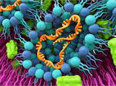 赢创携手 ST Pharm，扩大其 RNA 和核酸递送服务