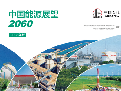 报告分享 | 中国能源展望2060（2025年版），附下载