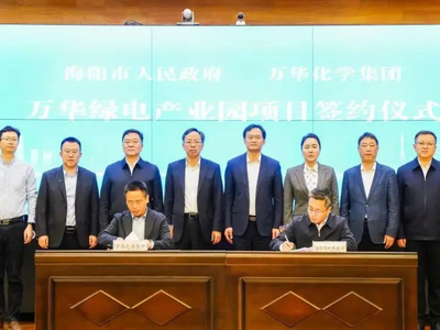 万华化学总投资168亿元的新项目开建！包含电池材料、源网荷储一体化、分散式风电等
