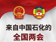 能源化工央国企及民企两会代表名单公布