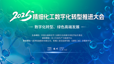 2025年精细化工数字化转型推进大会暨智能制造工作组年会