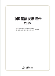 《中国氢能发展报告2025》