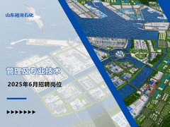 山东裕龙石化有限公司 2025年6月管理及专业技术招聘岗位