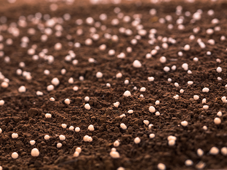 巴斯夫和云天化成功验证使用稳定性尿素肥料对温室气体的减排效果