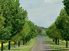 巴斯夫连续第十七年发布大中华区年度报告