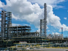 中科炼化上榜！211家企业入选广东绿色工厂名单