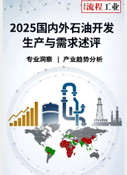 2025国内外石油开发、生产与需求述评-目录