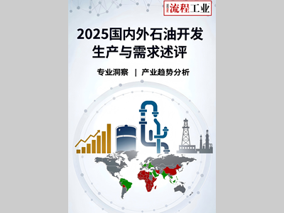 2025国内外石油开发、生产与需求述评-目录