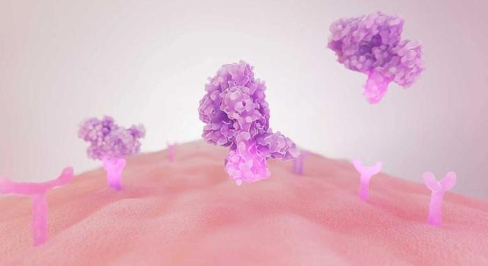 a0b25947e64fd77143c37e43c30cf26a