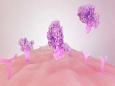 赢创携手 InVitria，推动无动物源白蛋白在生物制药创新中的应用