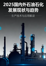 《2025国内外石油石化发展现状与趋势》 前言、索引与目录