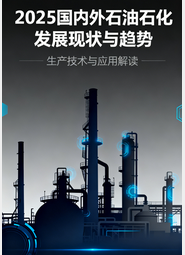 《2025国内外石油石化发展现状与趋势》 前言、索引与目录