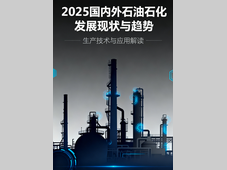 《2025国内外石油石化发展现状与趋势》 前言、索引与目录