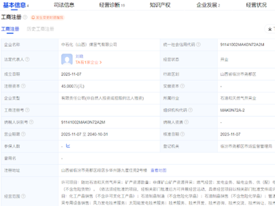 中国石化、中国石油成立新公司