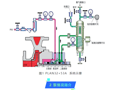 辐射进料泵大修后突发异常，快速诊断解决办法来了