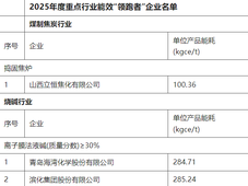 滨化集团、万华化学、海湾化学、恒科新材料等多家化企，上榜2025年度重点行业能效“领跑者”企业名单