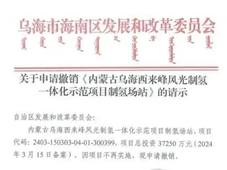 国家能源集团又一绿氢项目撤销