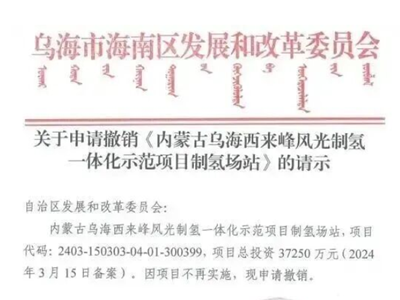 国家能源集团又一绿氢项目撤销