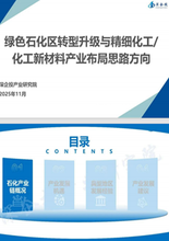 绿色石化区转型升级与精细化工/化工新材料产业布局思路方向