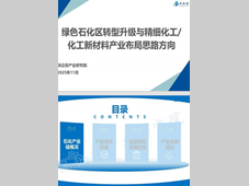 绿色石化区转型升级与精细化工/化工新材料产业布局思路方向
