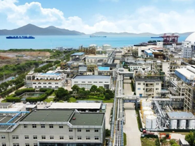 让大象起舞：AI如何带动流程工业穿越产业周期？