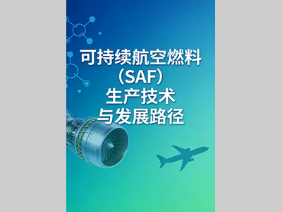 《可持续航空燃料（SAF）生产技术与发展路径》前言&目录