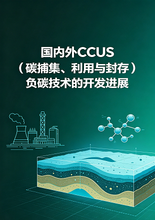 《国内外CCUS（碳捕集、利用与封存）负碳技术的开发进展》前言&目录