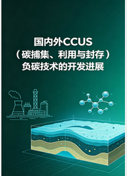 《国内外CCUS（碳捕集、利用与封存）负碳技术的开发进展》前言&目录