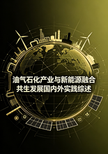 《油气石化产业与新能源融合共生发展国内外实践综述》序言&目录